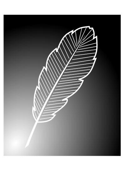 Feather clipart