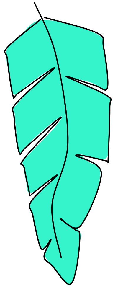 Feather clipart
