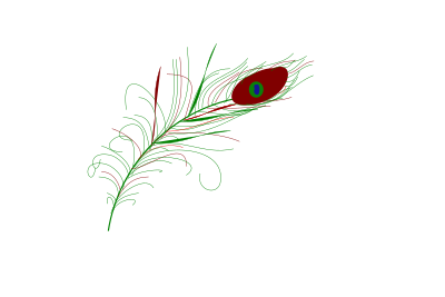 Feather clipart