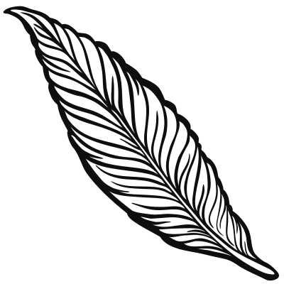 Feather - lineart clipart