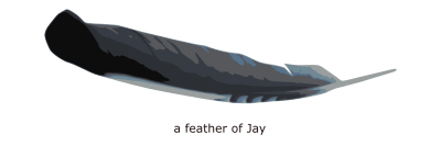 feather of Jay clipart
