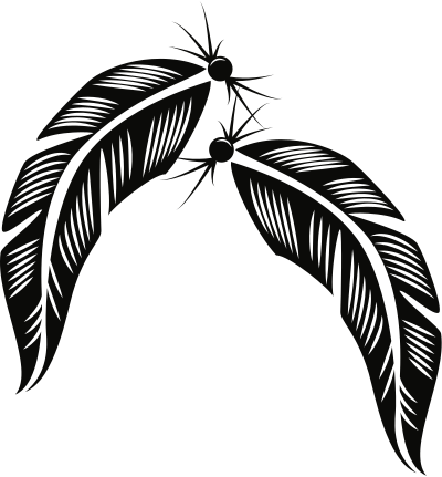 Feathers clipart
