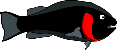 Fish clipart