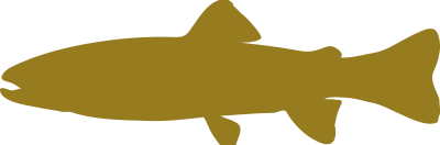 Fish clipart