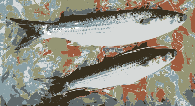 Fish from the market clipart