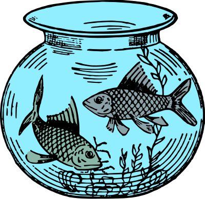 Fish in a Fishtank - Colour Mix clipart