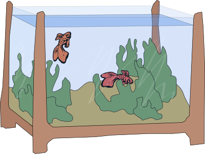 Fish Tank Colour clipart