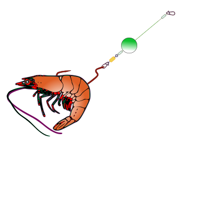 Fishing bait clipart