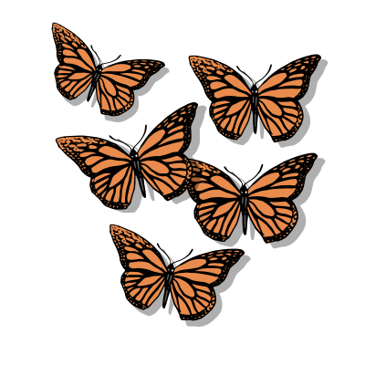 Five Butterflies clipart