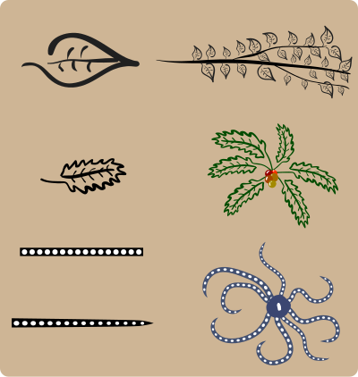Five free brushes clipart