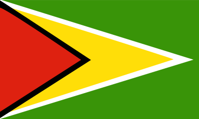 Flag of Guyana clipart