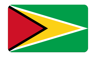 Flag of Guyana (bevelled) clipart