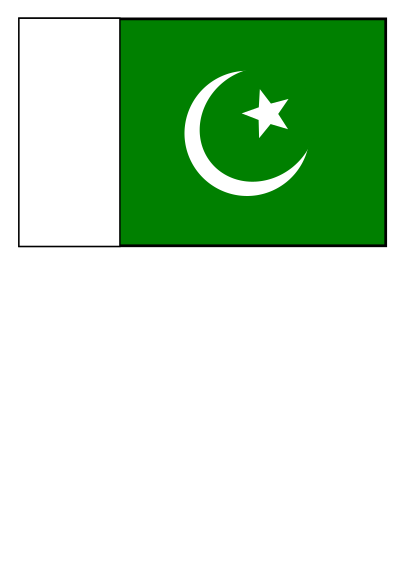 Flag of Pakistan clipart