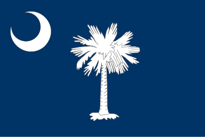 Flag of South Carolina clipart