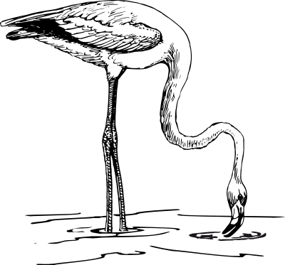 Flamingo 2 clipart
