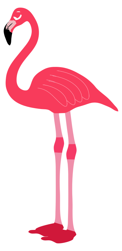 Flamingo clipart