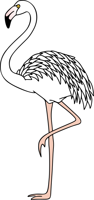 Flamingo 3 (colour) clipart
