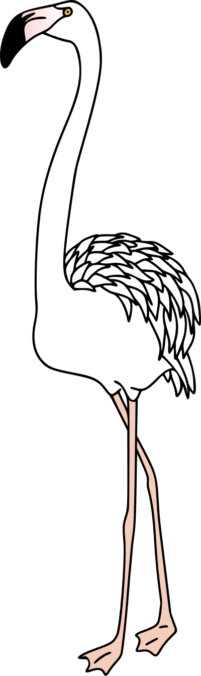 Flamingo 4 (colour) clipart