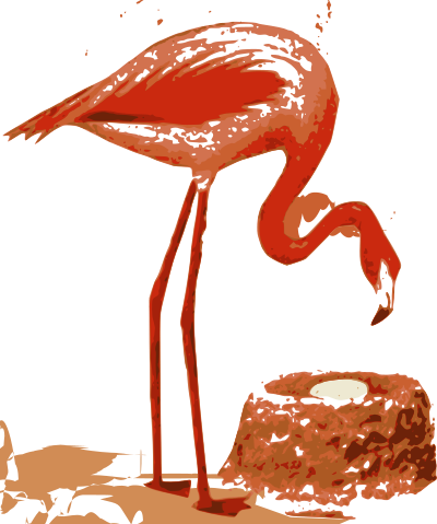 Flamingo Nest clipart