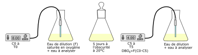 Flask Experiment Cleaned clipart