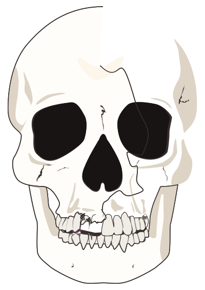 Flat mid detail skull clipart