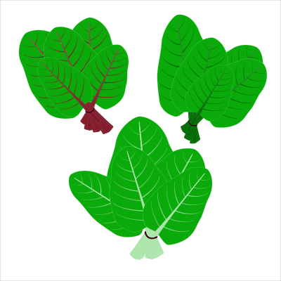 Flat vector icons. Leafy green vegetable.Organic and healty food clipart
