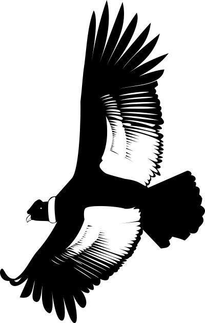 fliegender Anden-Kondor clipart