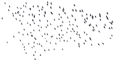 Flock Of Birds Silhouette clipart
