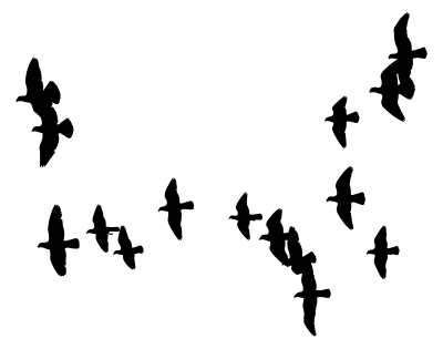 Flock Of Doves Silhouette clipart