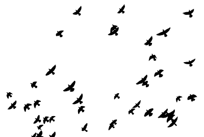 Flock Of Pigeons Silhouette clipart
