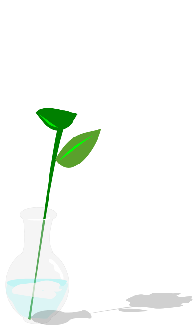 FLOR AMARELA clipart