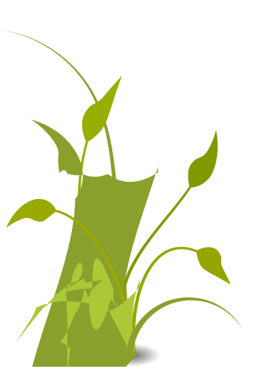 Floral clipart