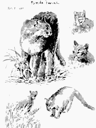 Florida Panthers clipart
