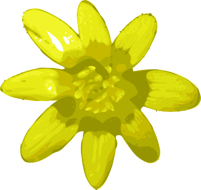 Flower-02 clipart