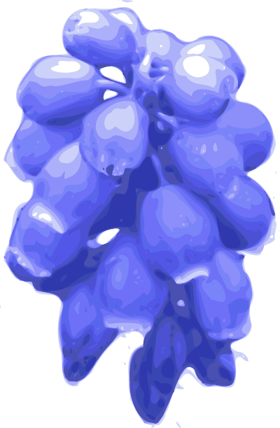 Flower-06 clipart