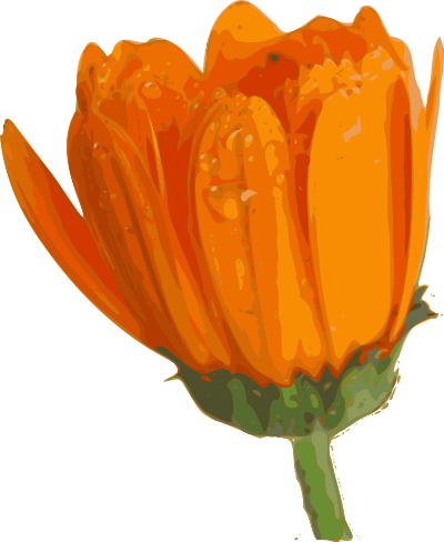 Flower-07 clipart
