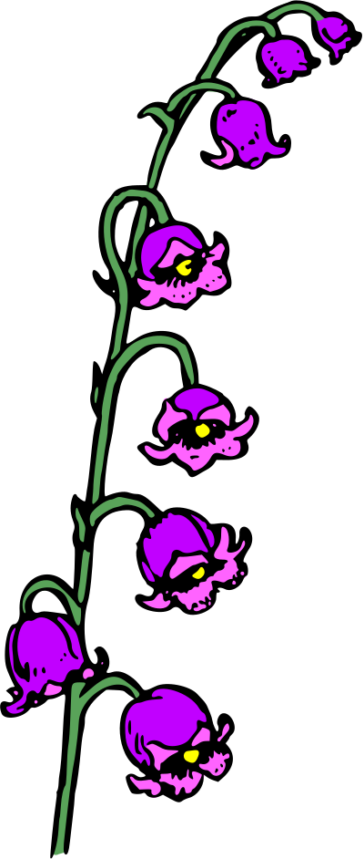 Flower 100 (colour) clipart