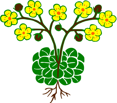 Flower 126 clipart