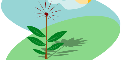 Flower clipart
