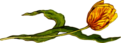 Flower 24 clipart