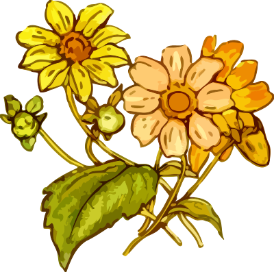 Flower 25 clipart