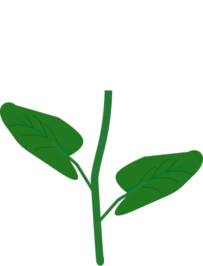 Flower clipart