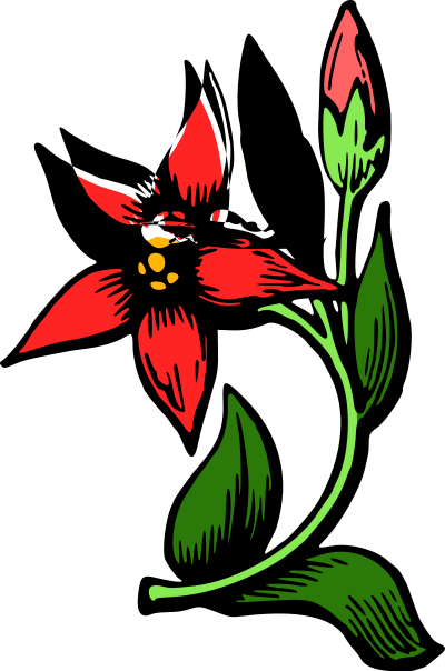 Flower 34 (colour) clipart