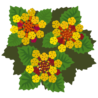 Flower 35 clipart