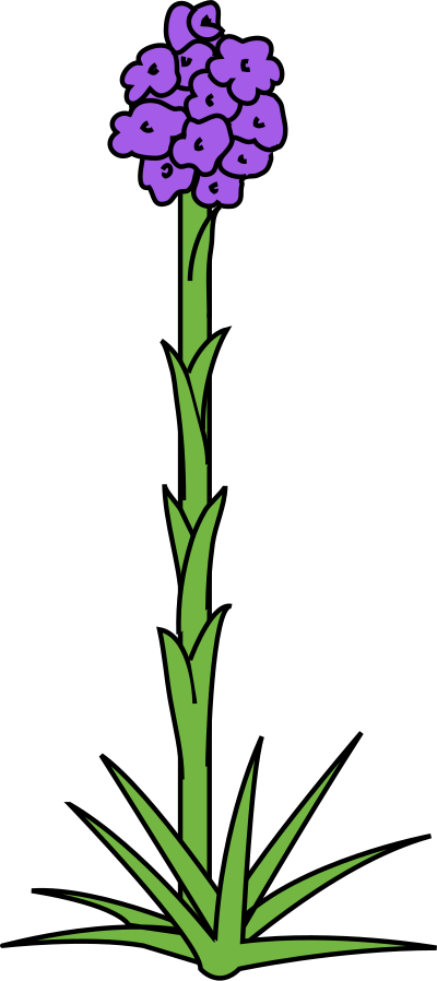 Flower 60 clipart