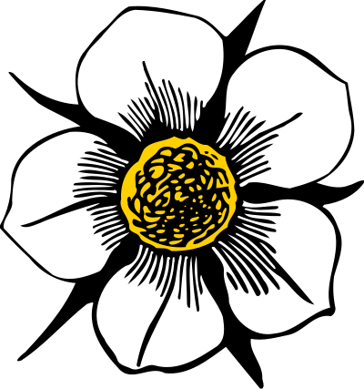 Flower 95 (colour) clipart