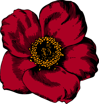 Flower 96 (colour) clipart