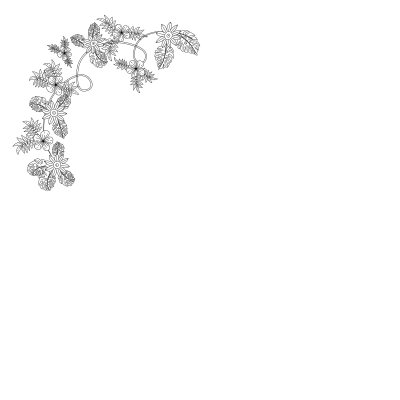 Flower decoration clipart