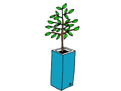 Flower pot clipart
