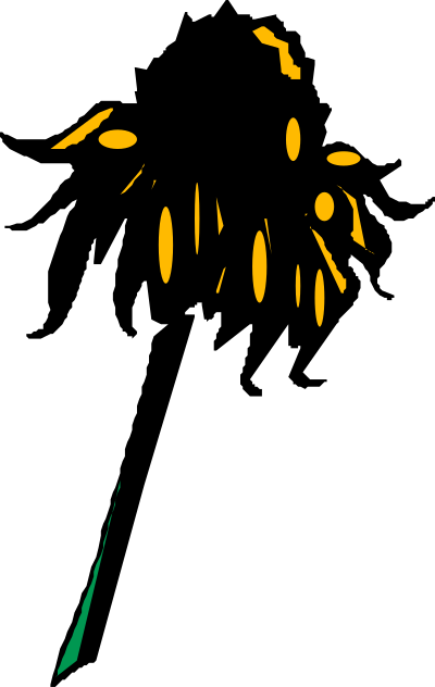 Flower (Rudbeckia) clipart